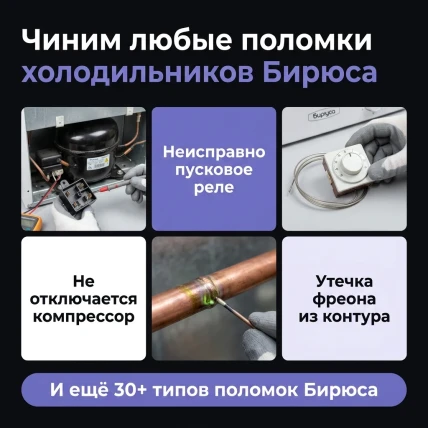 Бирюса — фото 3