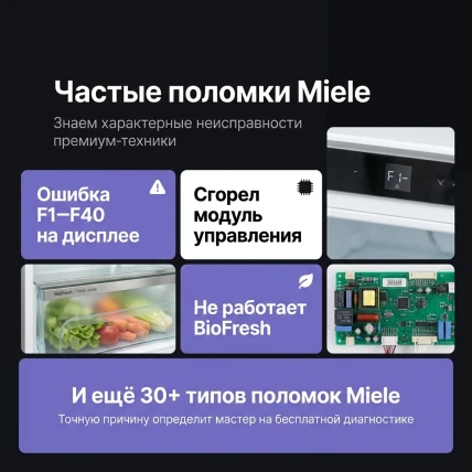 Miele — фото 3