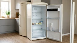 Частые неисправности холодильников Gorenje: No Frost, электронное управление и цены ремонта